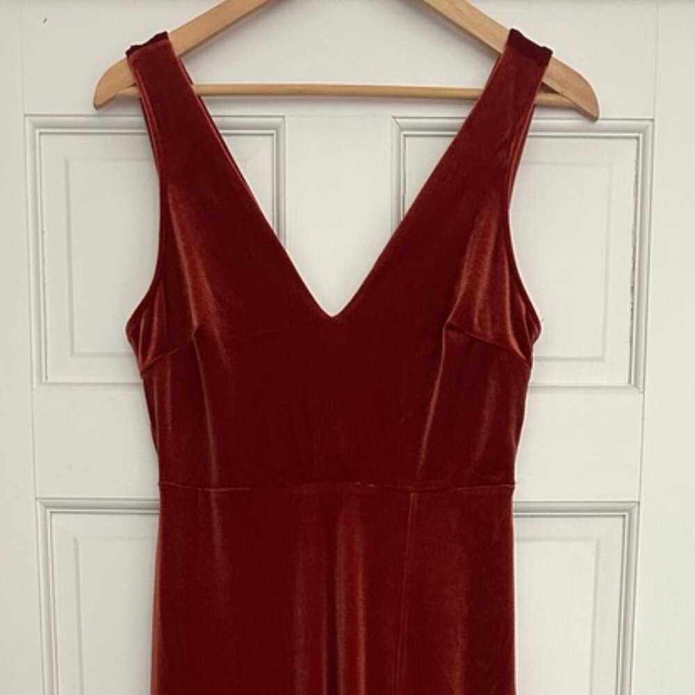 S Burnt Orange Birdy Grey Velvet Maxi Dress